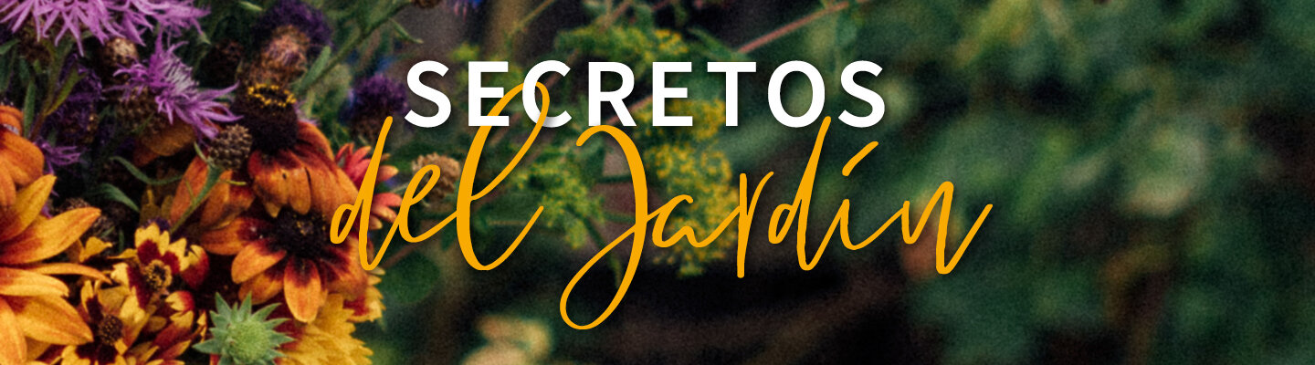 Blog: Secretos del jardín