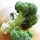 Brócoli Calabrese (Brassica oleracea) orgánico semillas