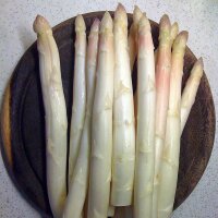 Espárrago blanco Ruhm von Braunschweig (Asparagus officinalis) semillas