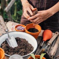 Nuestras plantas favoritas: Algo para todos (Orgánico) - Set de regalo de semillas