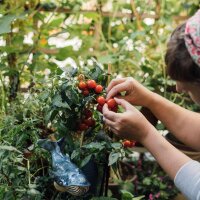 Nuestras plantas favoritas: Algo para todos (Orgánico) - Set de regalo de semillas