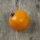 Tomate "Ida Gold" (Solanum lycopersicum) semillas