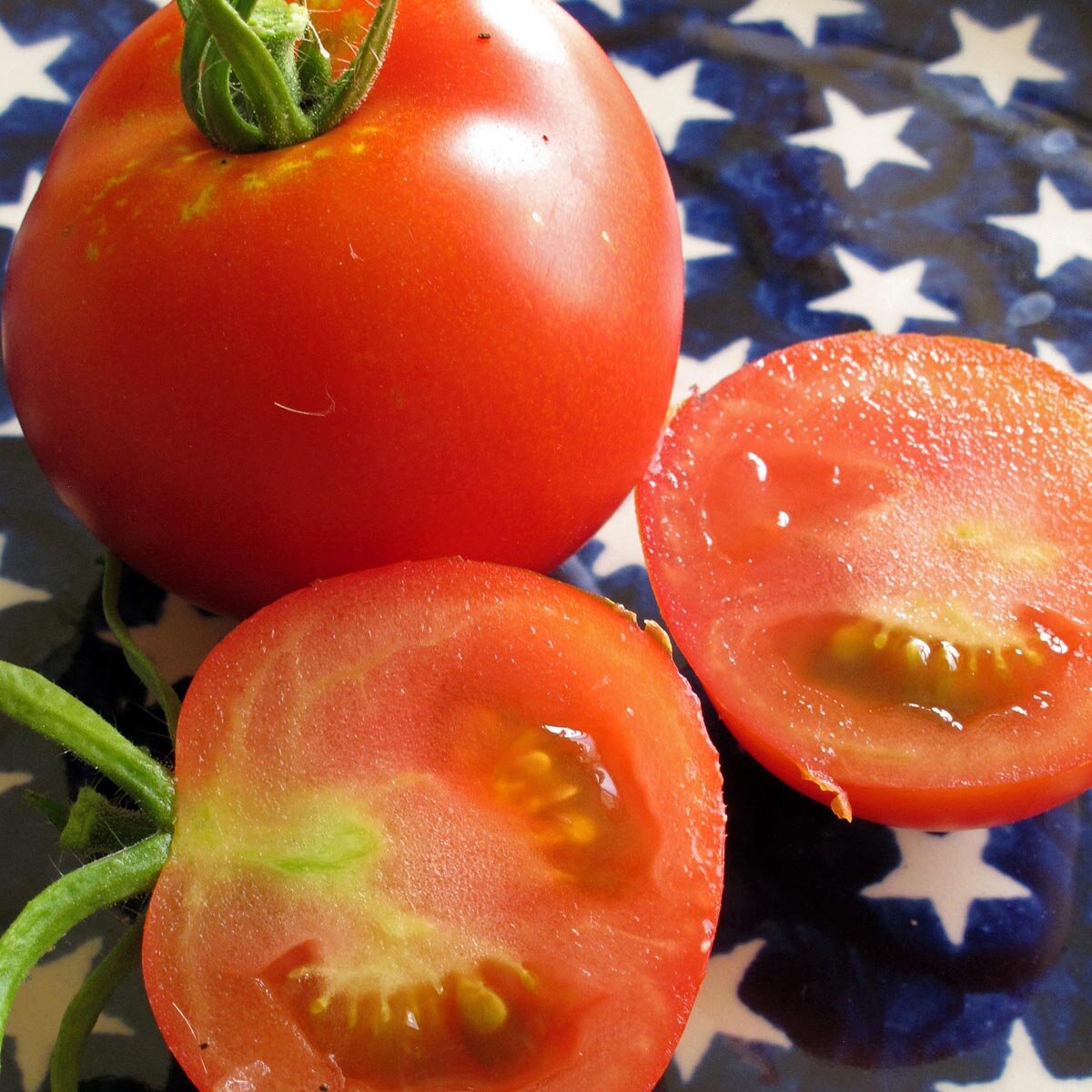 Tomate 'Moneymaker' (Solanum lycopersicum) semillas