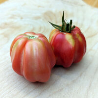 Tomate para rellenar "Striped Stuffer" (Solanum lycopersicum) semillas