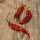 Chile Bhut Jolokia (Capsicum chinense) semillas