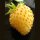 Fresa blanca Yellow Wonder" (Fragaria vesca) semillas