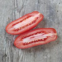 Tomate San Marzano (Solanum lycopersicum) semillas