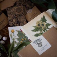 Ella Harrison Seed kit - The Folklore Seed Collection