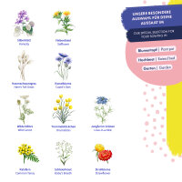 Dried Flowers - 10 open pollinated flower varieties - lasting & beautiful - Beginner seed kit <ai>