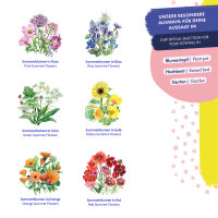 Flower Rainbow Mix  - 6 open pollinated mixtures - spectacular & colourful - Beginner seed kit <ai>