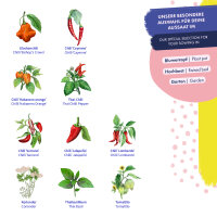 Chiles & Compañeros - 10 variedades de chiles y hierbas de polinización abierta - exóticos y picantes - Kit de semillas para principiantes