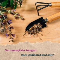Variedades raras de tabaco - Kit regalo de semillas