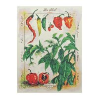 Variedad de chiles habaneros- Set de regalo de semillas