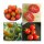 Clase de Tomates especiales y antiguos - Set regalo de semillas