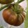 Tomate "Ananas Noire" (Solanum lycopersicum) semillas